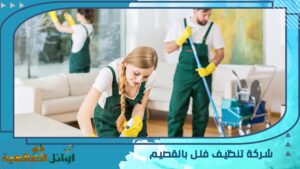 شركة تنظيف فلل بالقصيم