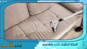 شركة تنظيف كنب بالقصيم