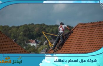 شركة عزل اسطح بالطائف