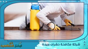 شركة مكافحة حشرات ببريدة