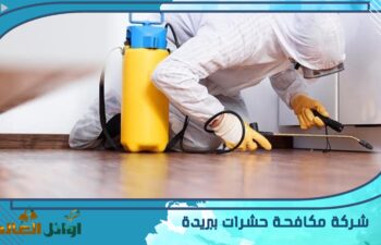 شركة مكافحة حشرات ببريدة