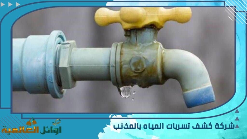شركة كشف تسربات المياه بالمذنب