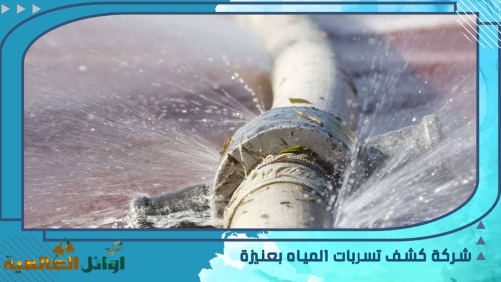 شركة كشف تسربات المياه بعنيزة