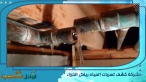 شركة كشف تسربات المياه رياض الخبراء