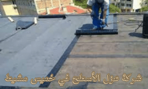 شركة عزل الأسطح في خميس مشيط