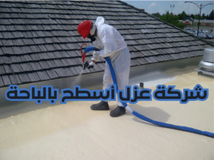 شركة عزل أسطح بالباحة