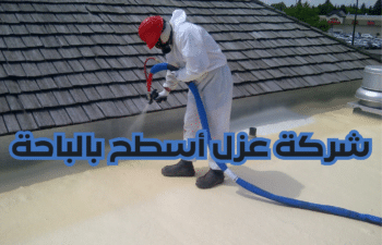شركة عزل أسطح بالباحة