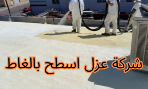 شركة عزل اسطح بالغاط