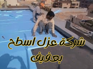 شركة عزل اسطح بعفيف