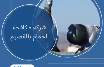 شركة مكافحة الحمام بالقصيم