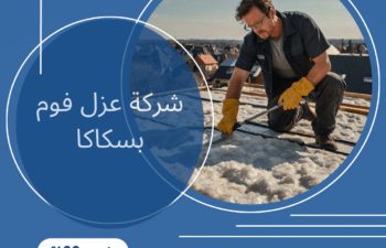 شركة عزل فوم بسكاكا