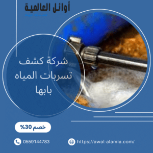 شركة كشف تسربات المياه بابها