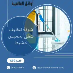 شركة تنظيف شقق بخميس مشيط