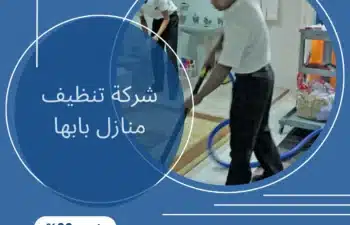 شركة تنظيف منازل بابها