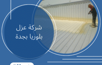 شركة عزل بلوريا بجدة
